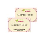 Poză produs Card Cadou – Atelierele Andini 100
