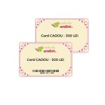 Poză produs Card Cadou – Atelierele Andini 300