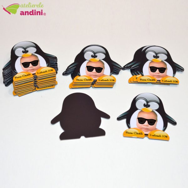 marturie magnet botez pinguin7