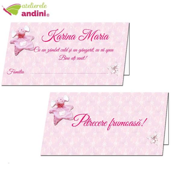 plicuri bani botez personalizate14