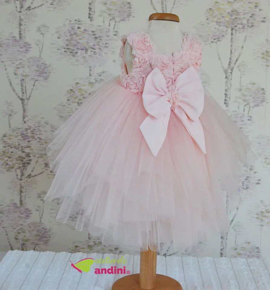 Rochiță Botez Pink Roses3
