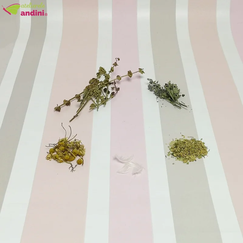 Saculet Prima Baita1 Saculet Prima Baita1