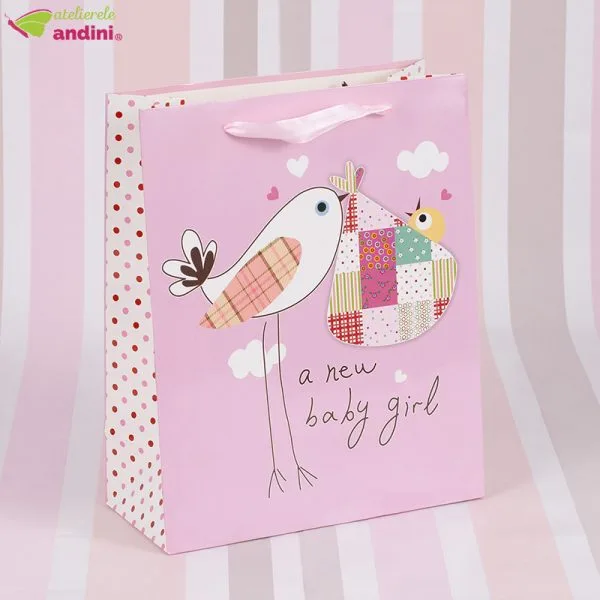 Punga Cadou New Baby Girl1