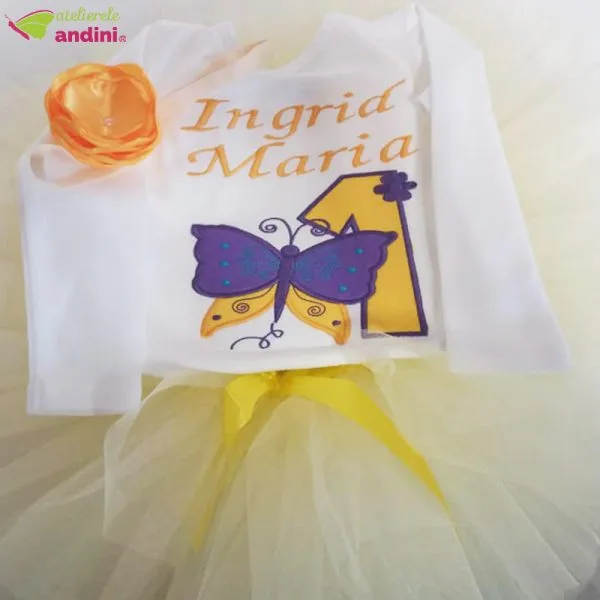 Set Rochita Tutu Mauve Butterfly2