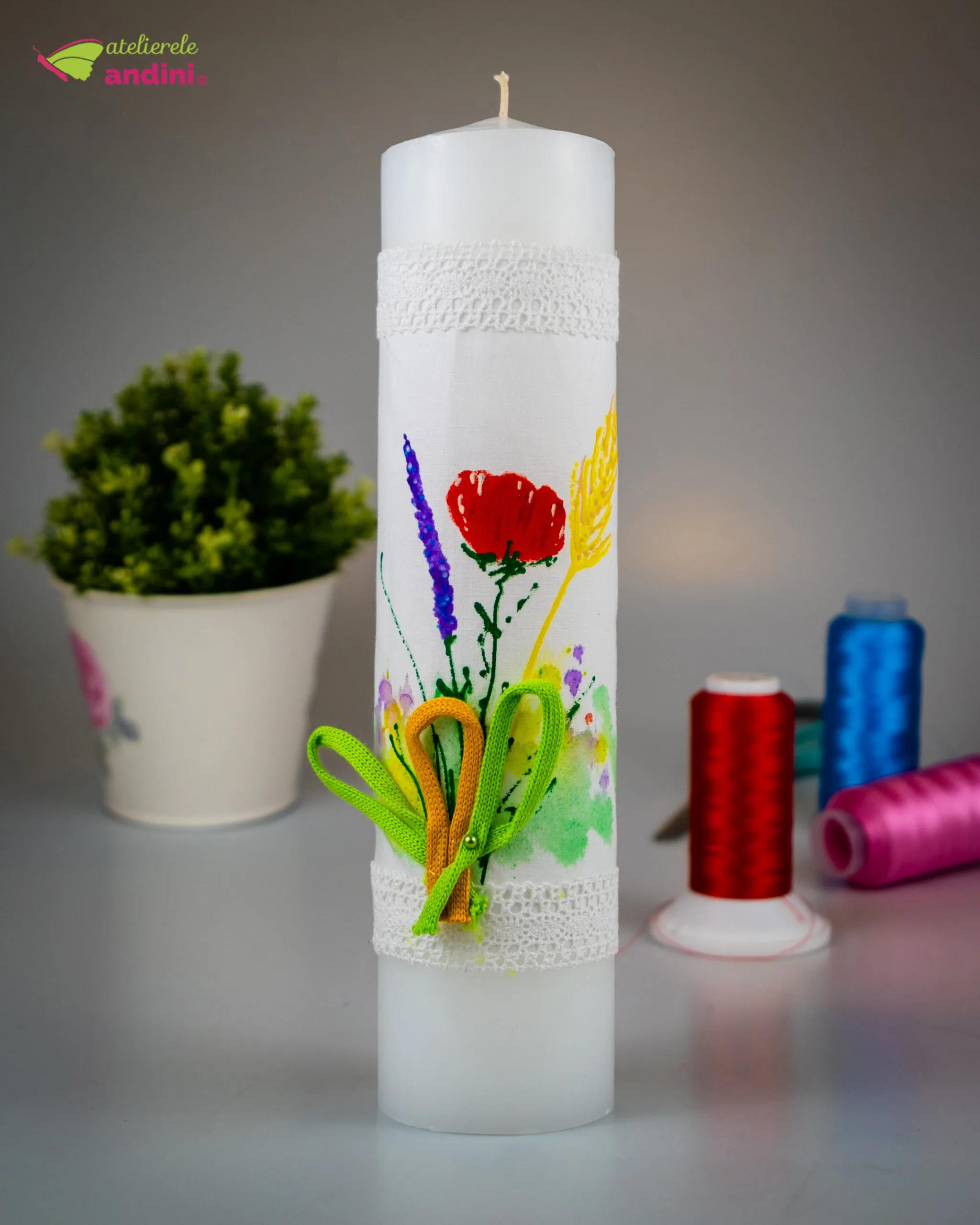 DSC01700 scaled DSC01700 scaled