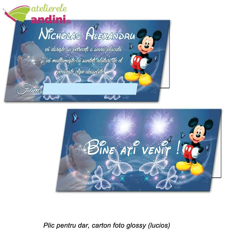 plicuri bani botez personalizate17