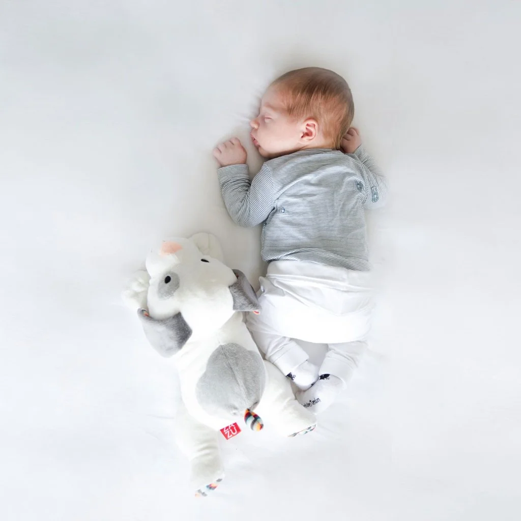 jucarie-muzicala-zazu-kids-2_1