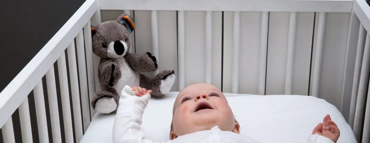 jucarie-muzicala-zazu-kids-coco-1