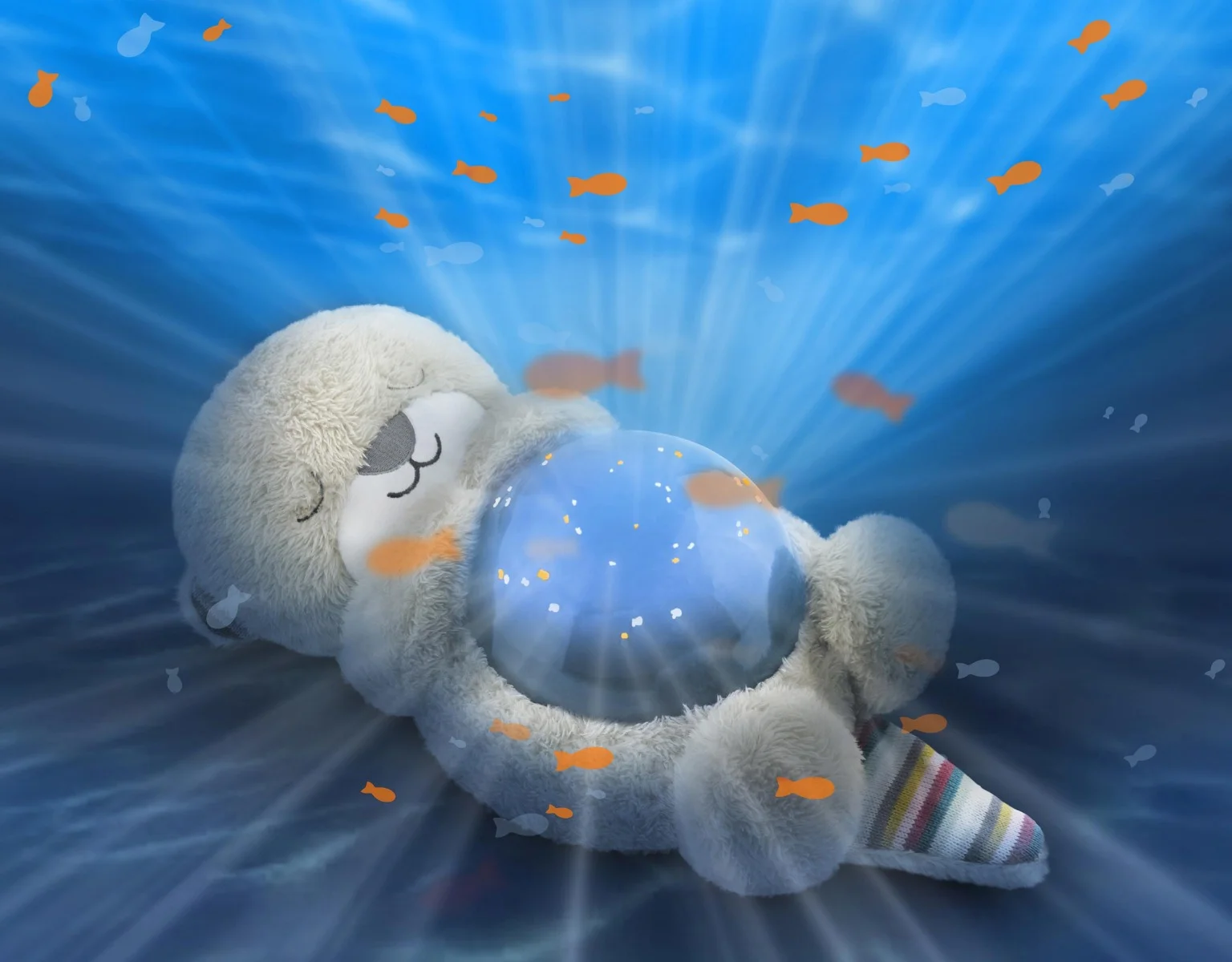 otto_product-shot-new-2400x1875-1