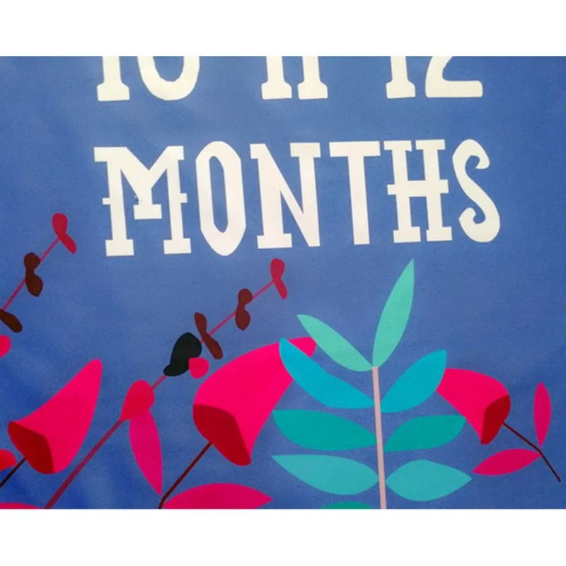 paturica-milestone-subtire-pentru-fotografii-memorabile-fluture-mov1930