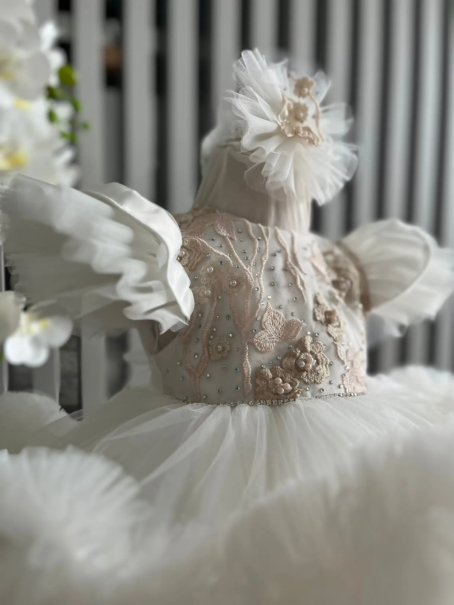 Rochita Botez Special Elisabeth PHOTO