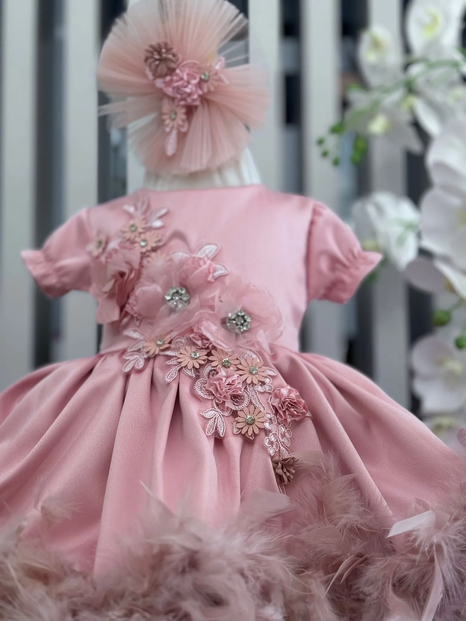 Rochita Botez Regal Quinn WhatsApp Image at