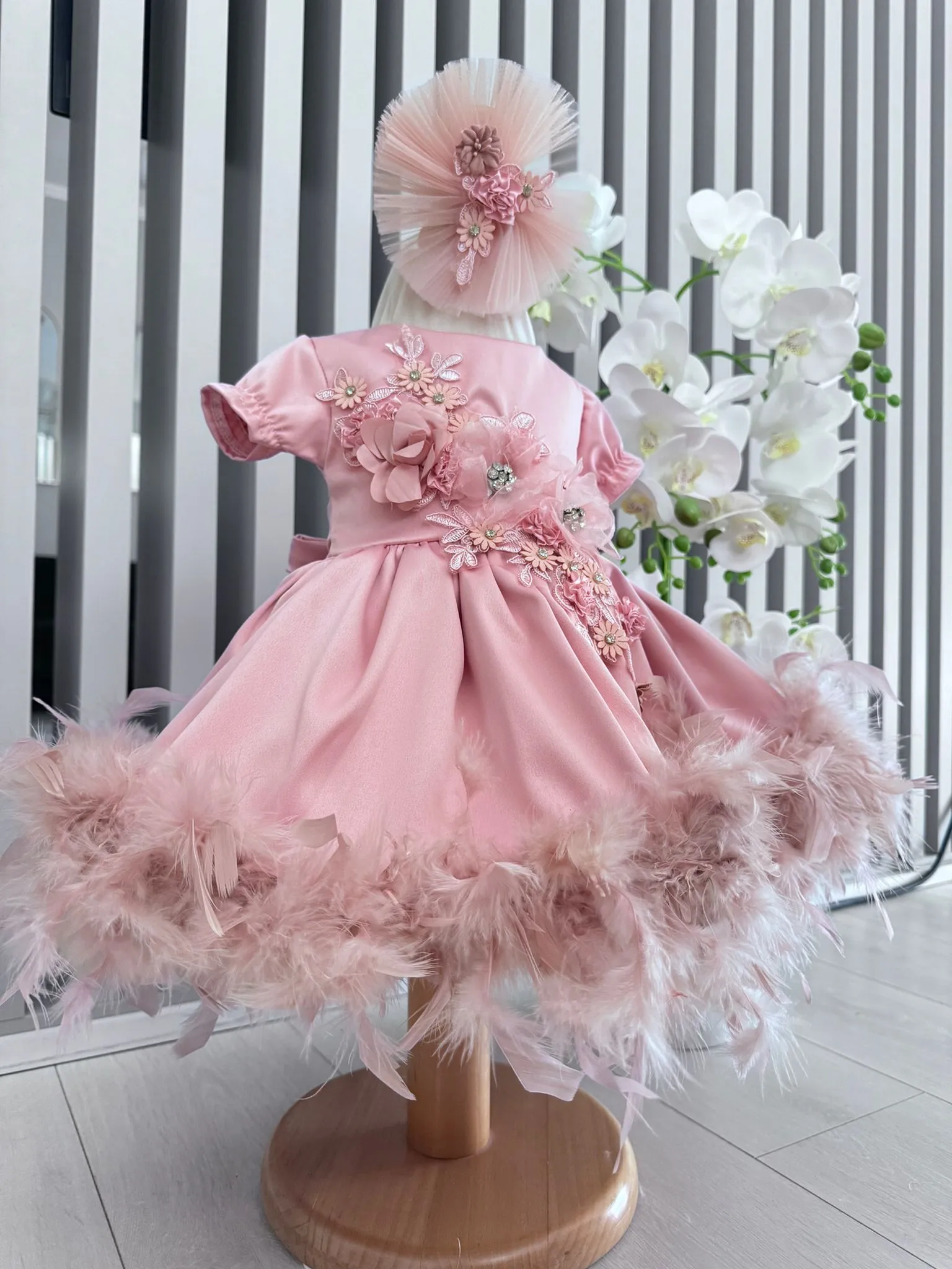 Rochita Botez Regal Quinn WhatsApp Image at