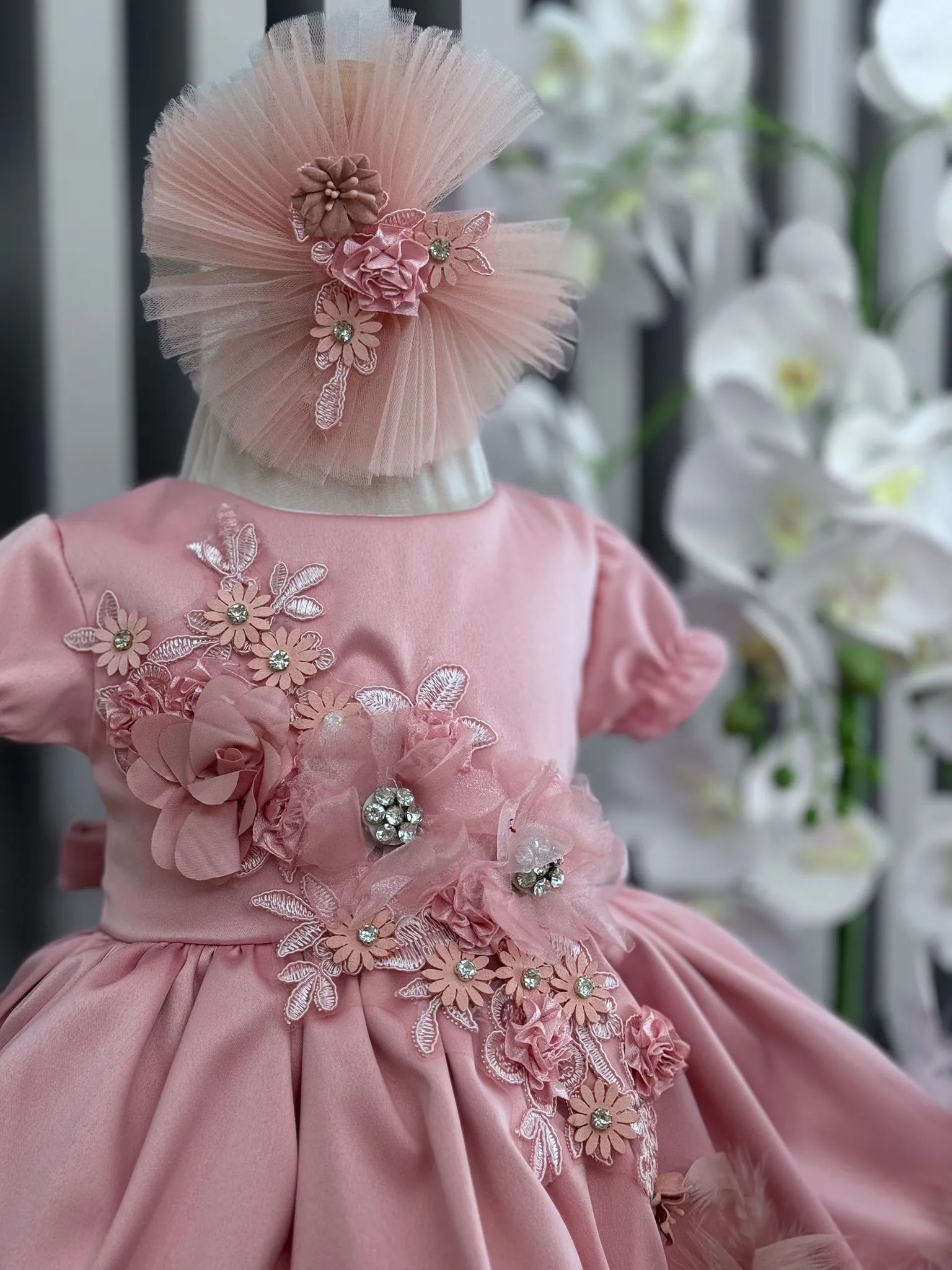 Rochita Botez Regal Quinn WhatsApp Image at