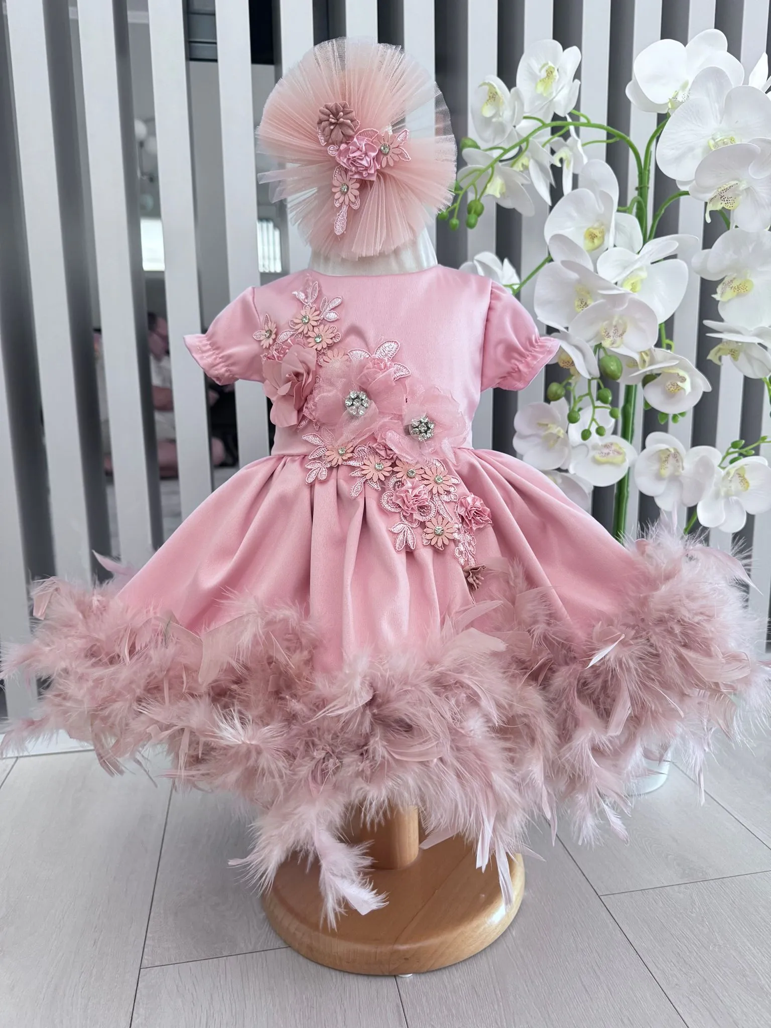 Rochita Botez Regal Quinn WhatsApp Image at